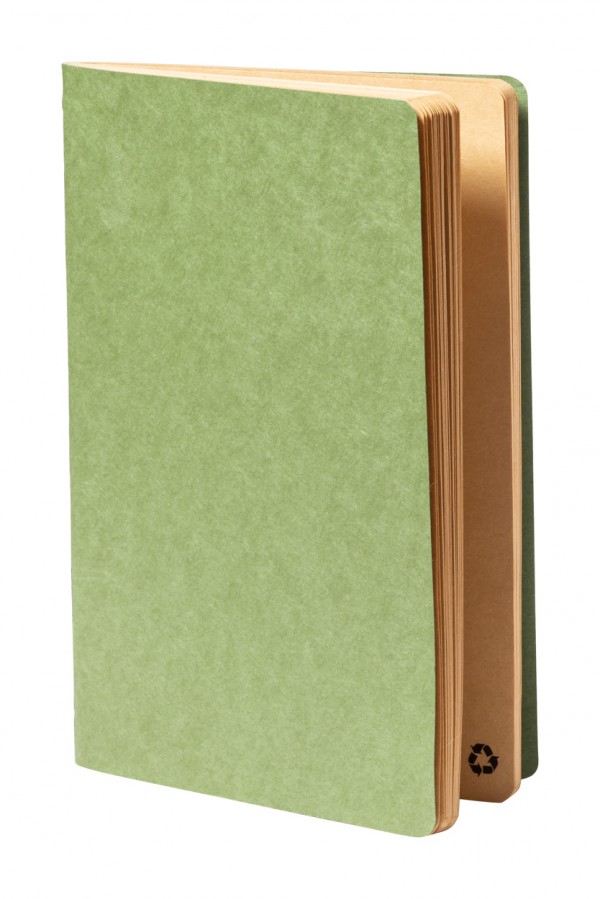 Rayish notebook  verde