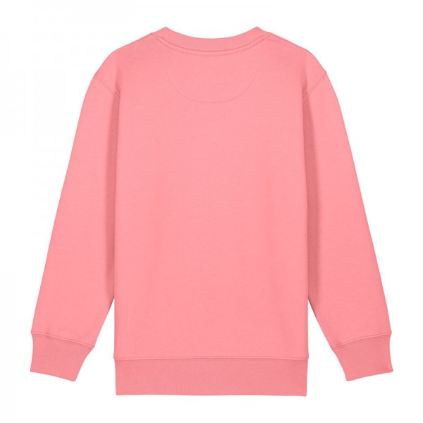 Mini Changer 2.0 kids' sweatshirt 9-11/134-146cm Pink Joy